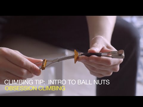 download lagu mp3 mp4 Ball Nuts Review, download lagu Ball Nuts Review gratis, unduh video klip Ball Nuts Review