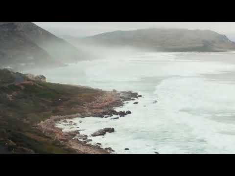 seas, beaches and music