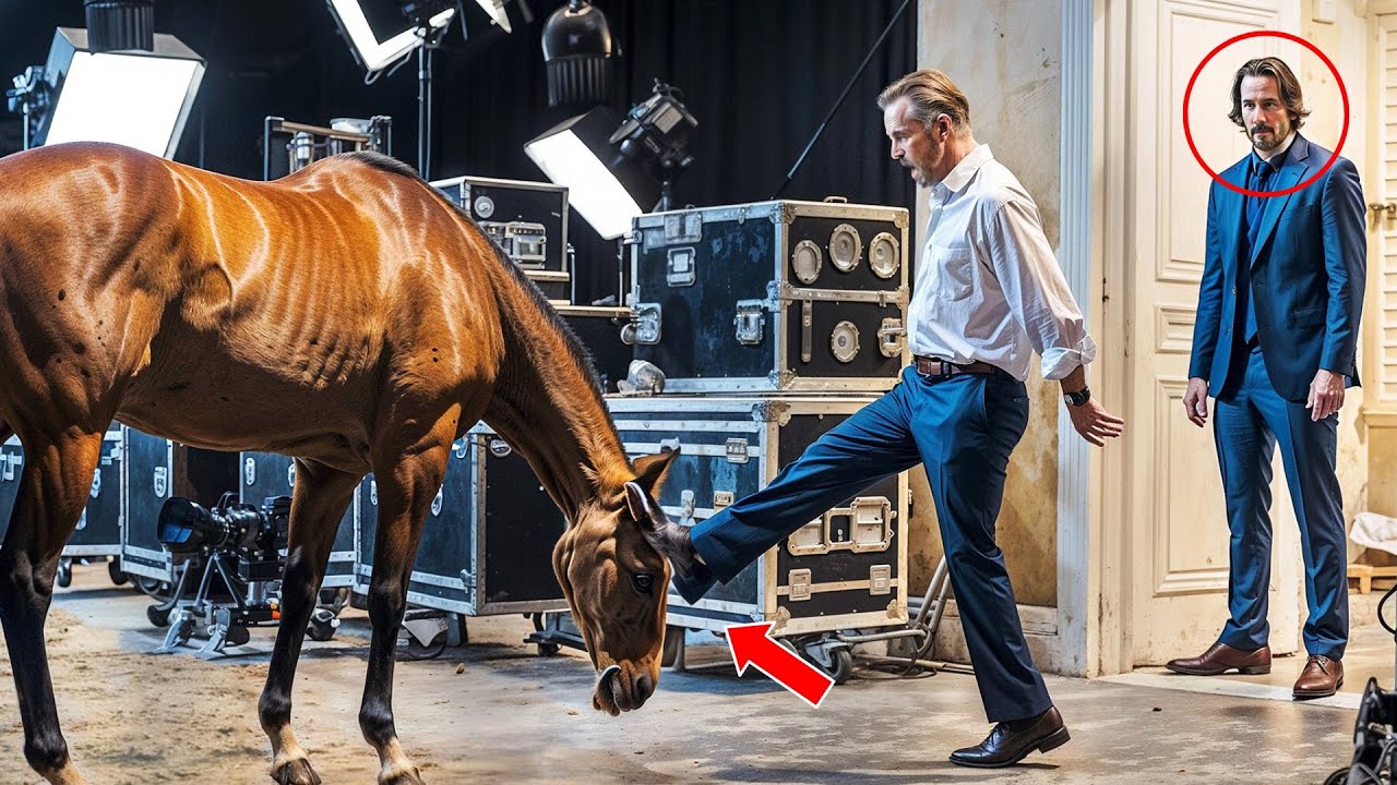 Director Mistreats Horse Backstage on Movie Set, Unaware Keanu Reeves Was Watching!