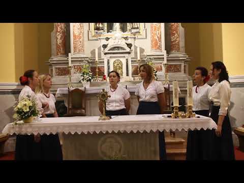 Klapa Nava   Koludrice mlada