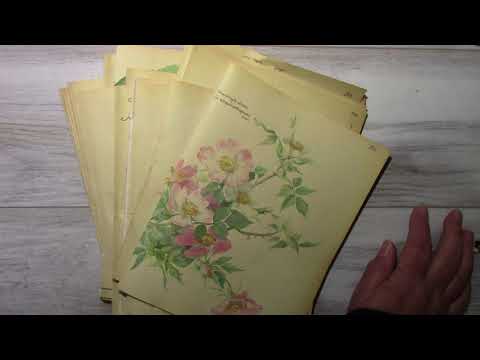 YouTube video about: How to get musty smell out of christmas decorations?