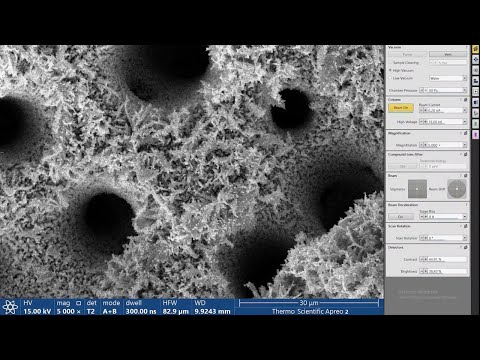 Scanning Electron Microscope Sem