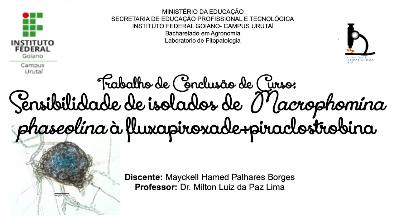 Apresentação do Trabalho de Conclusão de Curso de Mayckell Hamed Palhares Borges