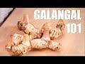 Ultimate Guide to GALANGAL - Hot Thai Kitchen! Ultimate Guide to GALANGAL - Hot Thai Kitchen!