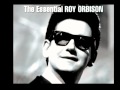 Roy Orbison -What'd I Say (1964) 