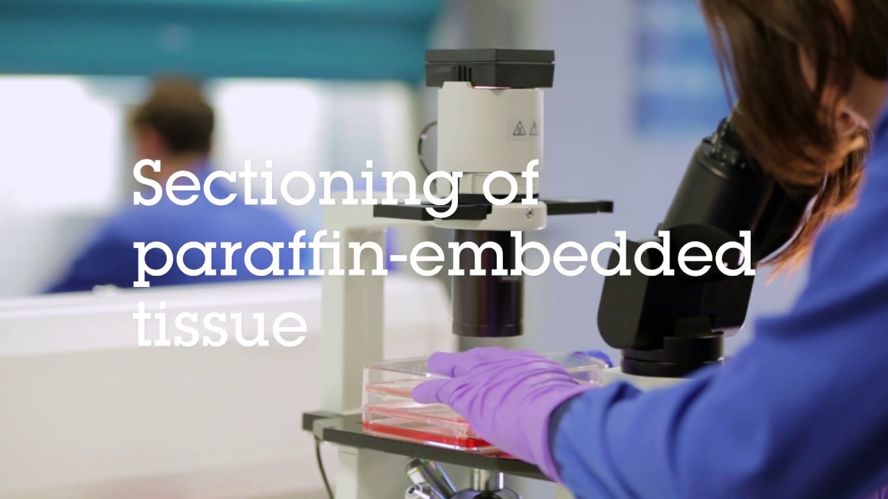Sectioning of paraffin embedded tissue video protocol