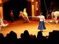 Horses At Big Apple Circus NYC