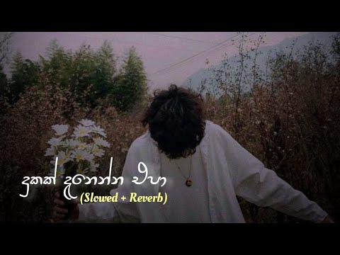 දුකක් දැනෙන්න එපා ( Slowed + Reverb )