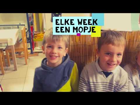 De zeepaarden in beeld...