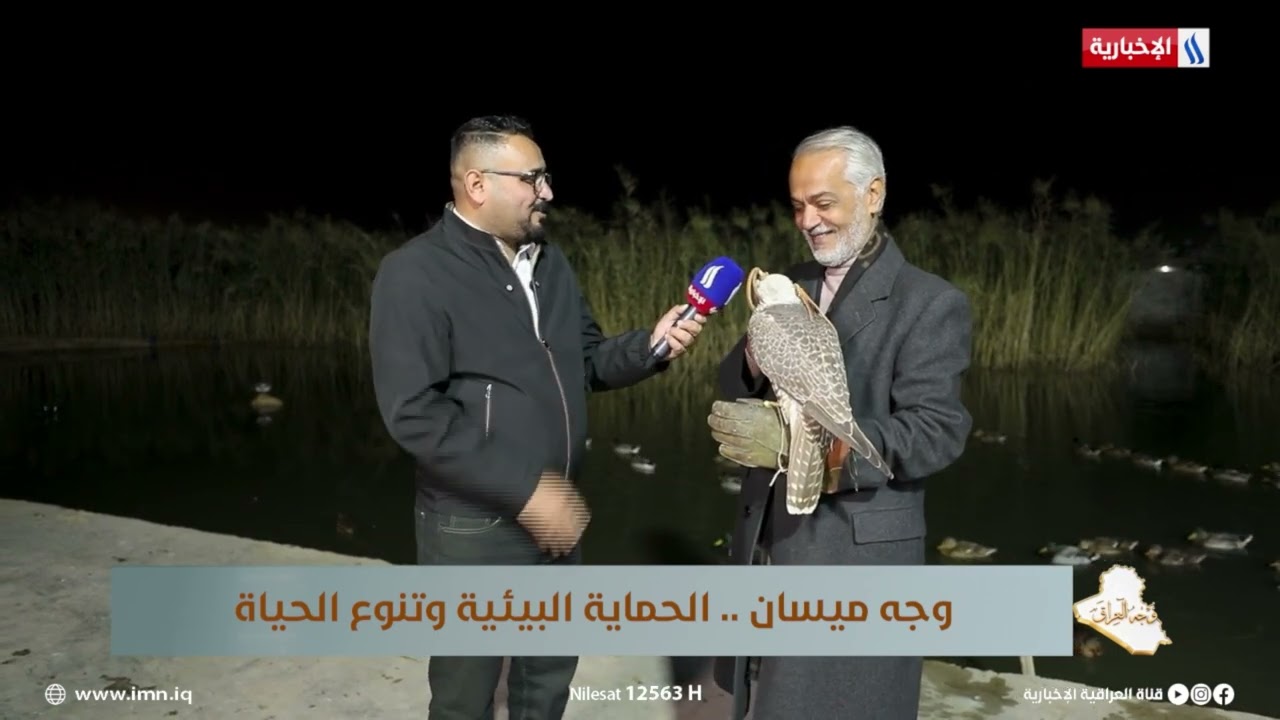 فيديو | الناشط البيئي احمد صالح نعمة يتحدث عن الصقر العنيف الجارح