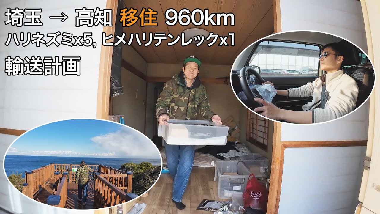 [埼玉→高知] 春のお引越し計画