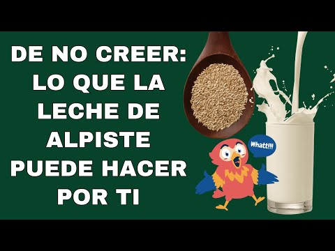 Canary seed milk Medicinal properties 🥛 Benefits and contraindications of canary seed milk 🥛Birdseed