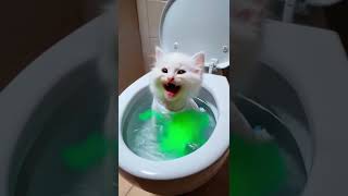 😼🫧💚 The Mischief of the Levitating White Kitten 💨🐾🍀🌱#cat #supercattales #catfunny #animation #cats
