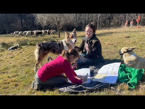 Flock of Bianco Erika and daughter Alessia Roccabruna Valle Maira