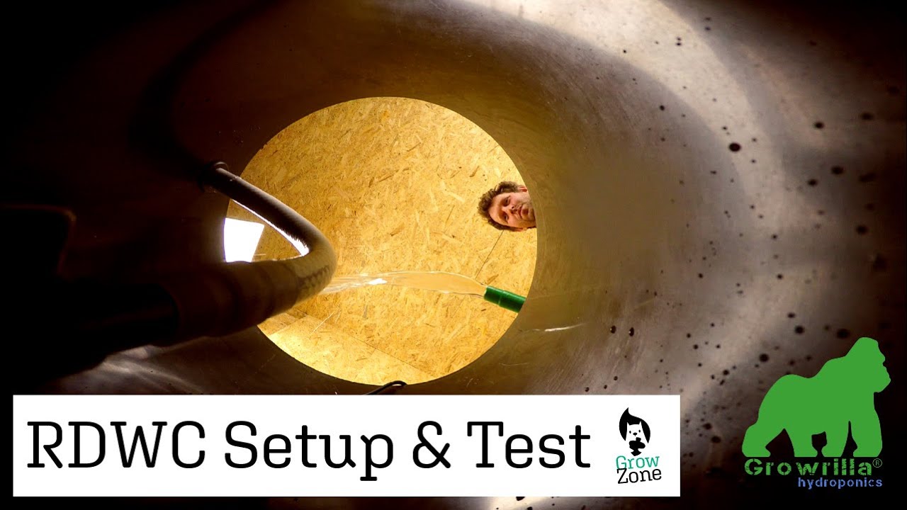 Growrilla Hydroponics RDWC system Setup and Test