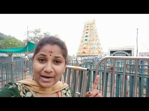 download lagu mp3 mp4 Durga Devi Temple Timings, download lagu Durga Devi Temple Timings gratis, unduh video klip Durga Devi Temple Timings
