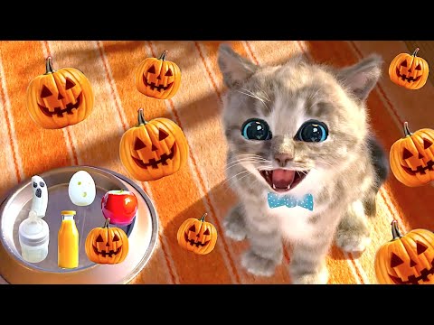 SUPER SPECIAL LITTLE KITTEN ADVENTURE - THE STORY OF A LITTLE KITTEN CARTOON FOR KIDS JOURNEY FUNNY!