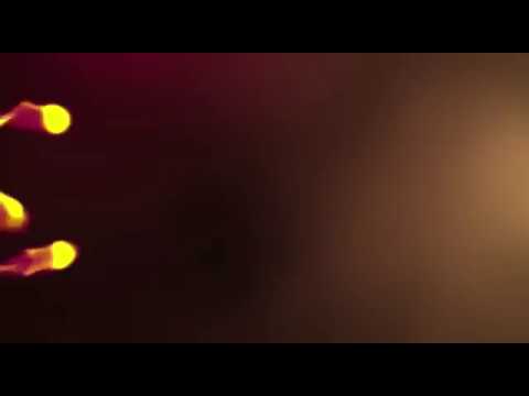 team volley Botalla / san Rocco U13 f