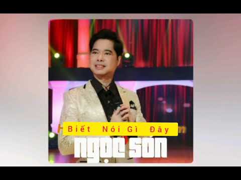 Biết nói gì đây - Ngọc Sơn