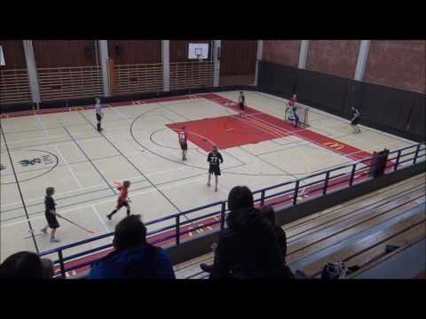 SUDET C01- SUDET D03 2.2.2017 2ERÄ