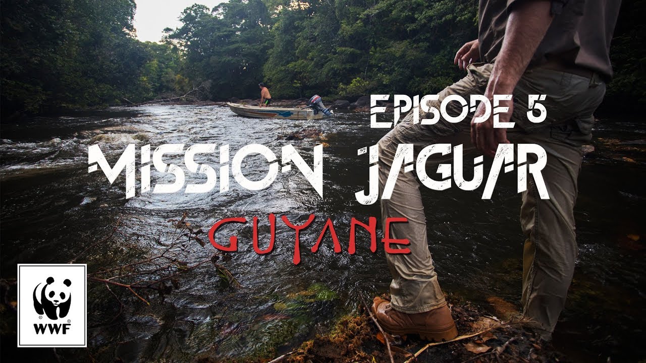 Mission jaguar Guyane - Épisode 5
