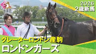 ロンドンガーズが逃げ切って３馬身差で完勝！松山騎手「スピードが違う。強かったです」　2026年6月13日(土)２歳新馬　阪神芝1200m　実況：服部優陽【カンテレ公式】
