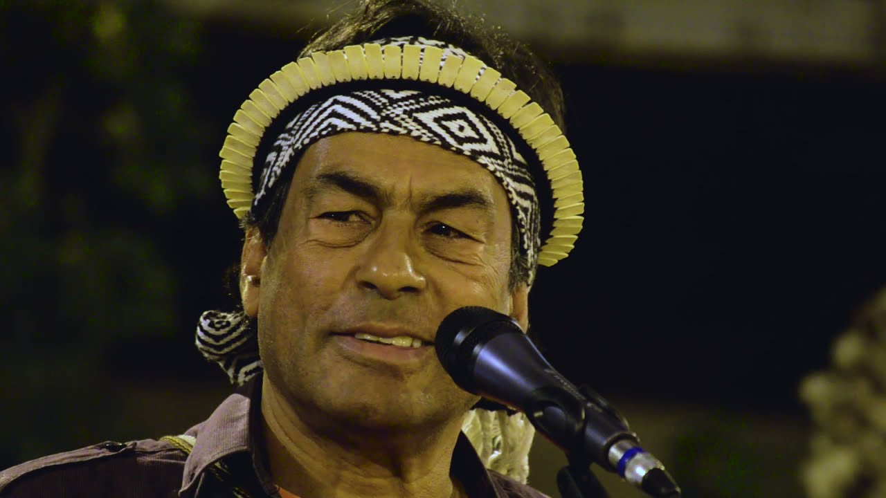 Olhar Sobre a Terra  Ailton Krenak