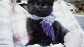 Frente! - So Mad (Lyrics)