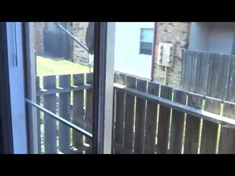 Wonderful 1 Bedroom Apartment Near Brookside, Kansas City! KC316b