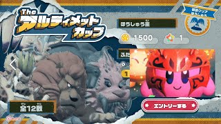 #21 無垢な二人が優勝を狙う、星のカービィディスカバリー協力プレイ