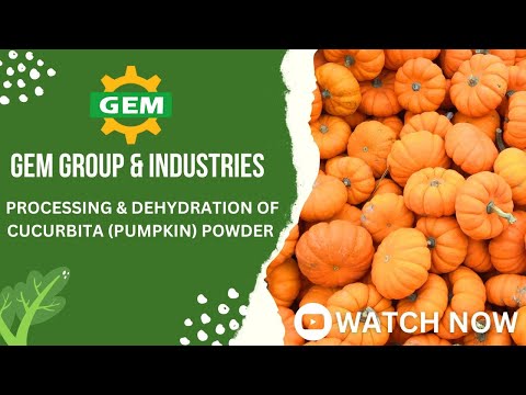 Food Dryer (Dehydrator Machine)