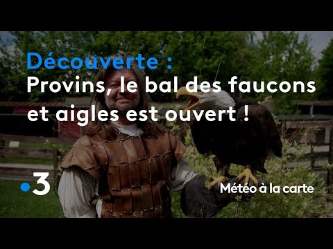 download lagu mp3 mp4 Provins Meteo, download lagu Provins Meteo gratis, unduh video klip Provins Meteo