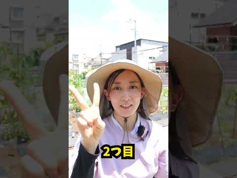 園芸 季節を問わず美味しいニンジン