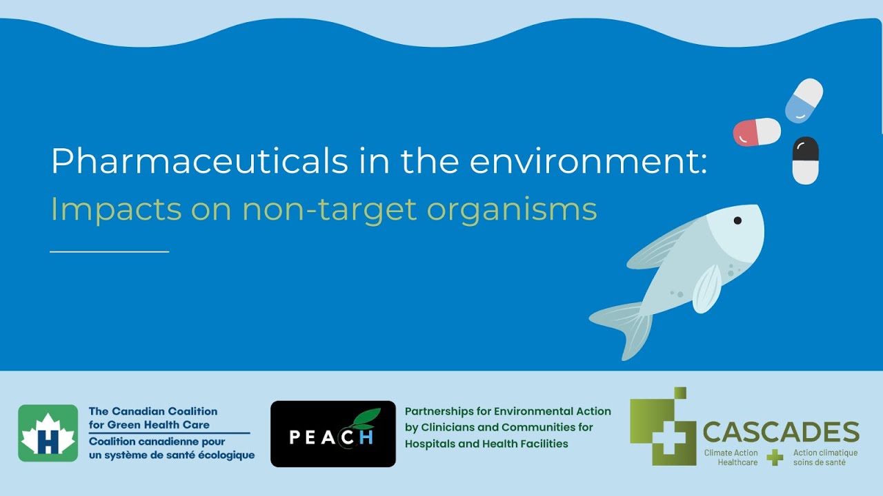 Pharmaceuticals in the Environment: Impacts on non-target organisms