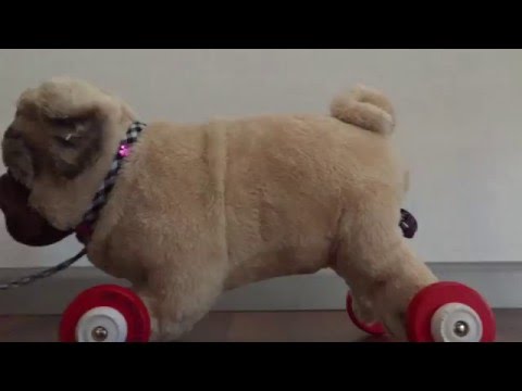 flexi . Roll-Leine VARIO Seil 8 m pink mit Multi Box