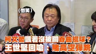 [問卦] 我朋友好像要吞曲棍球了？