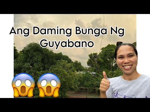 GUYABANO SA LIKOD NG BAHAY