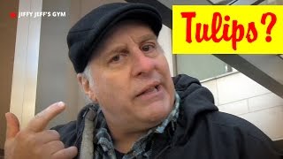 How Do Tulips Smell? - Jiffy in the City (Bob Nelson)