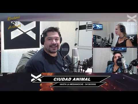 MATIAS VIDONDO EN CIUDAD ANIMAL ( #VORTERIXROSARIO )