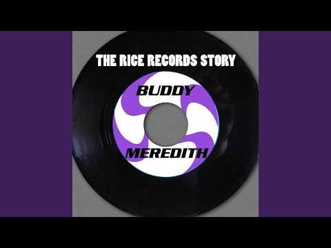 Im Comin Back In Style - Buddy Meredith