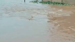 Download lagu Mvua kubwa yasababisha mafuriko Tabora mp3