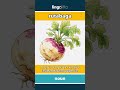 rutabaga - a round root vegetable with... video thumbnail