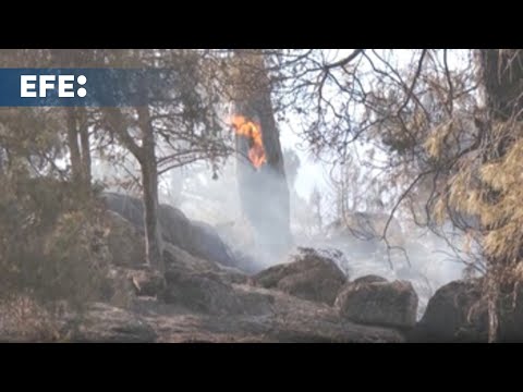 Más de 88.500 evacuados y confinados por los incendios en Ávila y Madrid