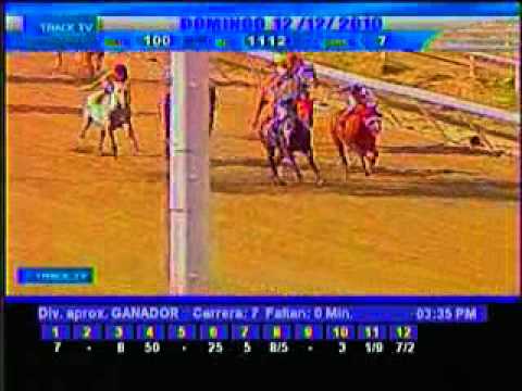 Resumen Domingo, 12 de Diciembre de 2010 - La Rinconada