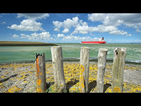 Terneuzen, prachtig zee ☀️🏝️ جميل بحر هولندا