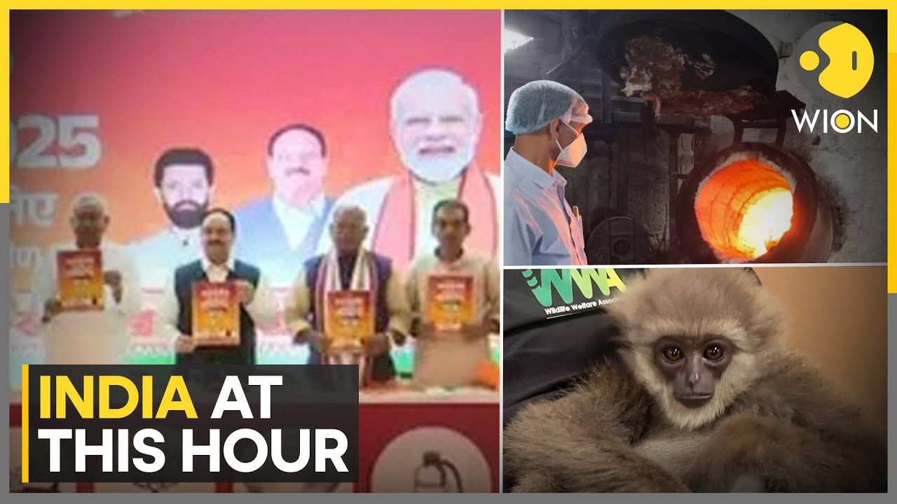 Bihar: NDA Promises 1 Crore Jobs in Poll Manifesto   | INDIA AT THIS HOUR | WION