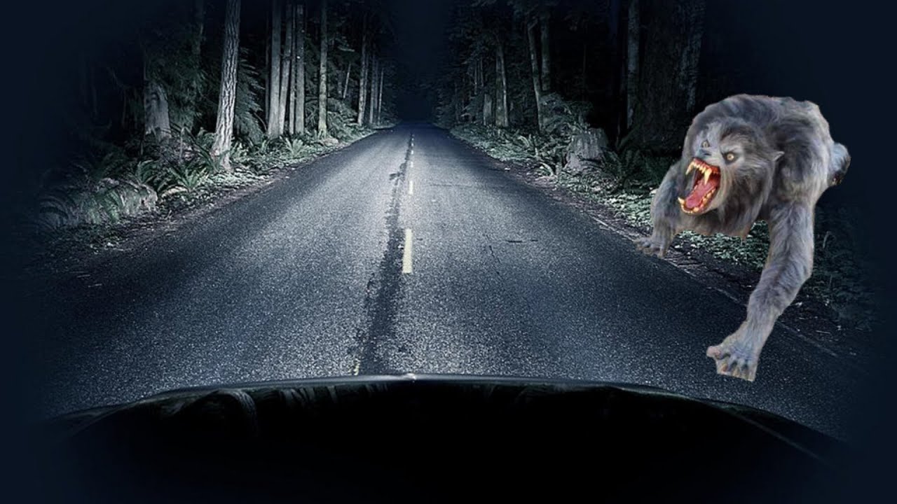 O CAMINHONEIRO CARLOS E O LOBISOMEM. (RELATO TOP)