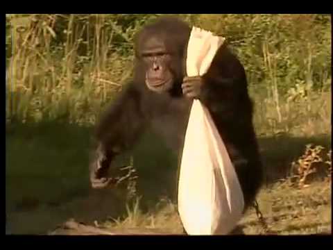 TEODORO E SAMPAIO - AGUA NO LEITE ( Clipe oficial )