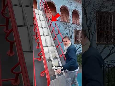 El Truco De Escalera Sorprendió A Todos 😱 #Catsoftiktok #CatLovers #cute #FunnyCats #catcartoon #fyp