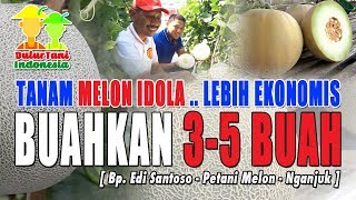 Download lagu DulurTani ID : Tanam Melon Idola Lebih Ekonomis mp3 Download lagu DulurTani ID : Tanam Melon Idola Lebih Ekonomis mp3